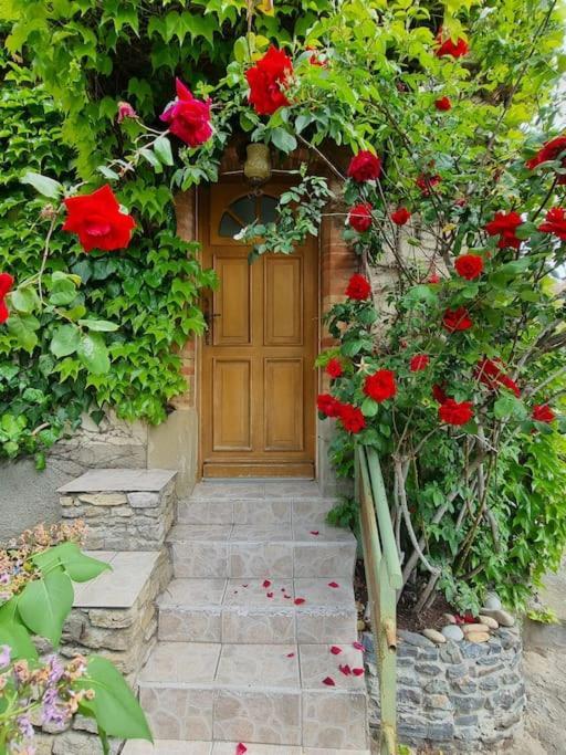 Maison Ideale Pour Une Famille Carcassonne Ngoại thất bức ảnh